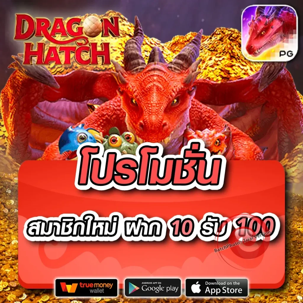 เล่น fomo-369